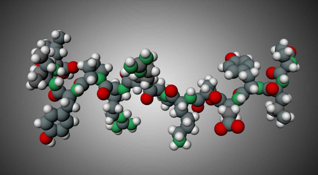 Peptide structuur